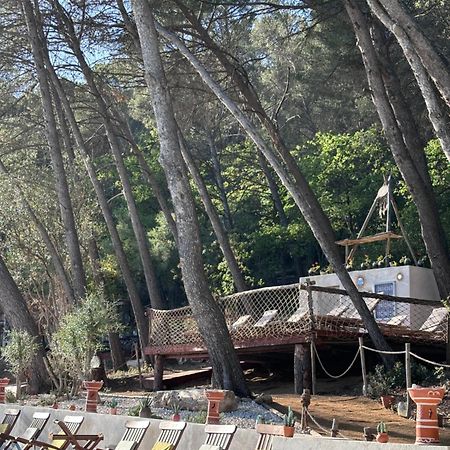 Le Castel De Fies Hotel Solliès-Pont Екстериор снимка